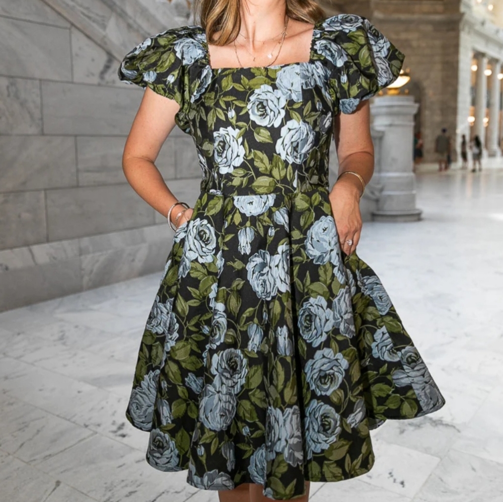 Ivy City Co Ivanna Dress